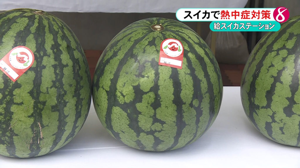 海と日本PROJECT in 富山