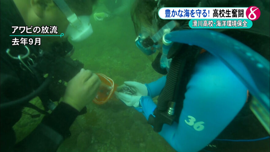 豊かな海を守る！海の環境保全に取り組む滑川高校