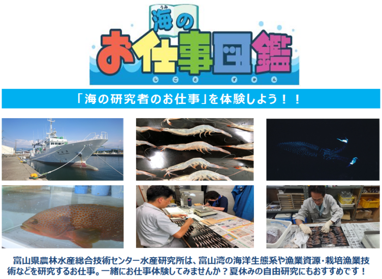 【海と日本PROJECTin富山県】海のお仕事図鑑プロジェクト参加者募集