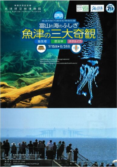 富山の海のふしぎ　魚津の三大奇観（魚津埋没博物館）