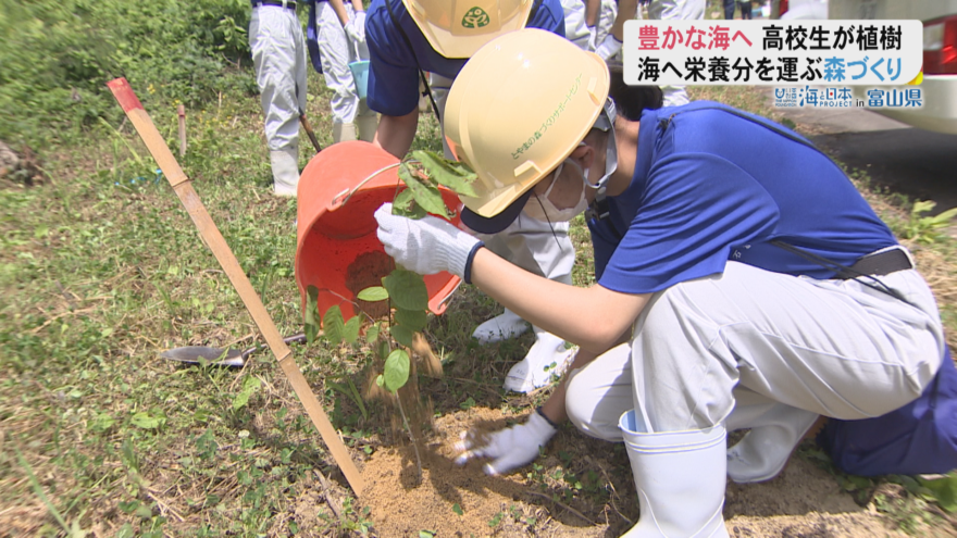 「山が荒れると海が荒れる」高校生が山で植樹を体験