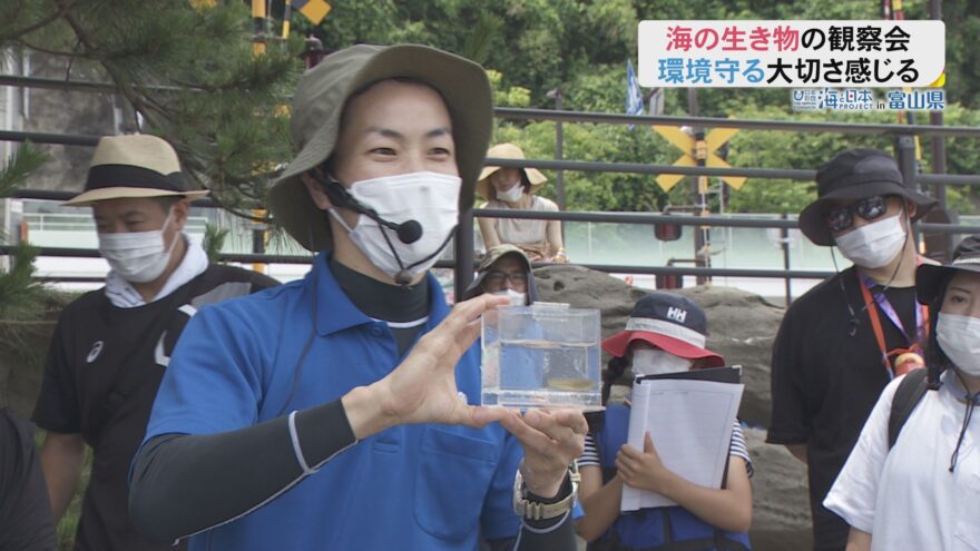 【雨晴海岸で】海辺の生き物観察会【生き物探し】