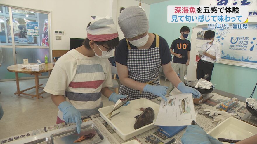夏休みに海を知ろう！五感で楽しむ深海魚イベント