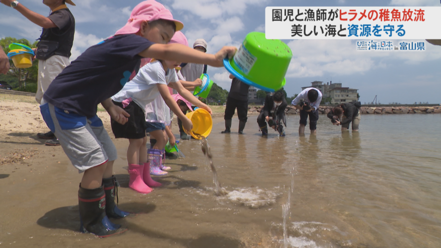 「大きく育ってね」漁師と保育園児がヒラメの稚魚を放流