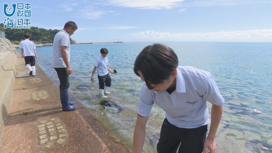 氷見高校の駆除ウニ養殖【地震で全滅】アート作品が思いをつなぐ