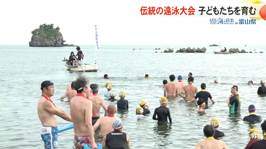 100年近く続く伝統行事 「遠泳大会」 子どもたちを育む