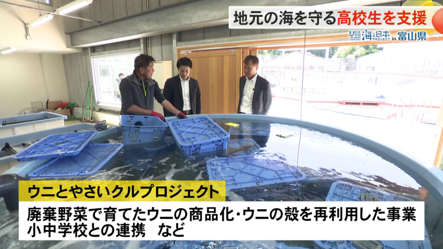 地元の海を守る氷見高校の駆除ウニ養殖【外部サポーター登場】