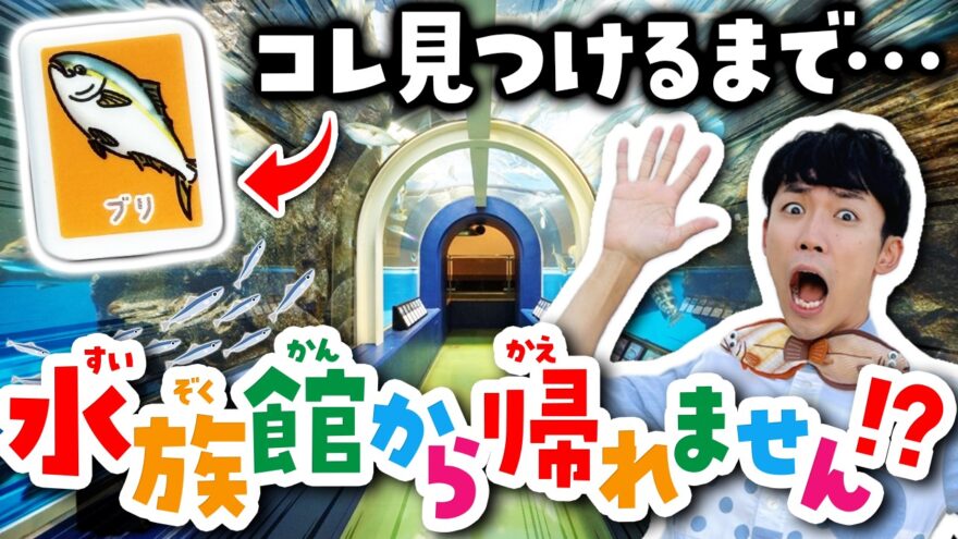 おさかなのおにいさん かわちゃんとコラボ企画が始まります！
