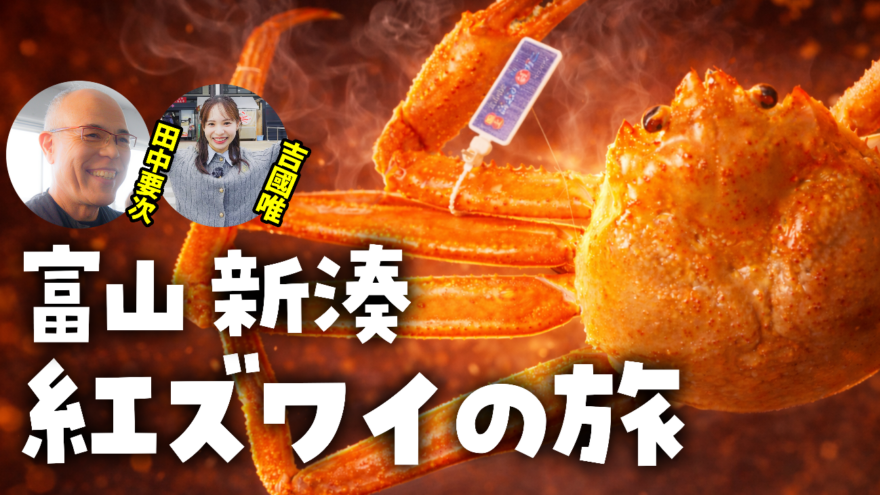 【寿司といえば、富山】 冬の味覚　紅ズワイガニ